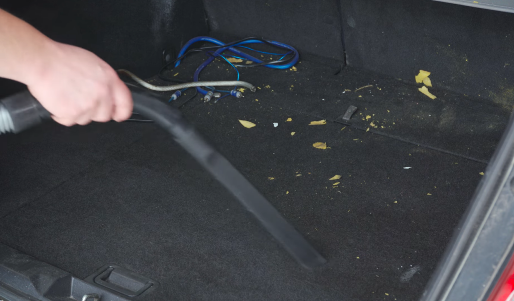 10 Tips to Remove Mold From Car Carpet
